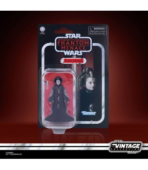 Star Wars: 2021 Vintage...