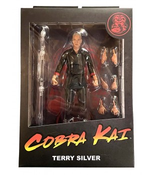 Cobra Kai: Select Terry...