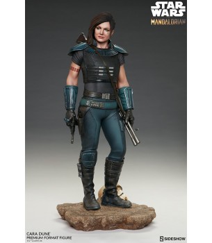 Star Wars The Mandalorian:...