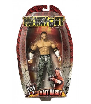 WWE No Way Out: Matt Hardy...