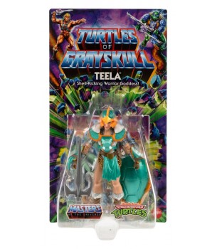 Masters of the Universe X...