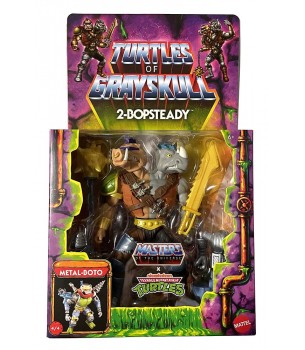 Masters of the Universe X...