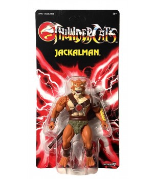 Thundercats: Vintage...