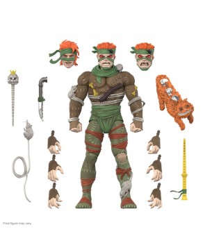 Teenage Mutant Ninja...