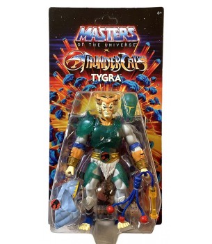 Masters of the Universe X...