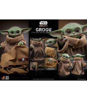 Star Wars The Mandalorian:...