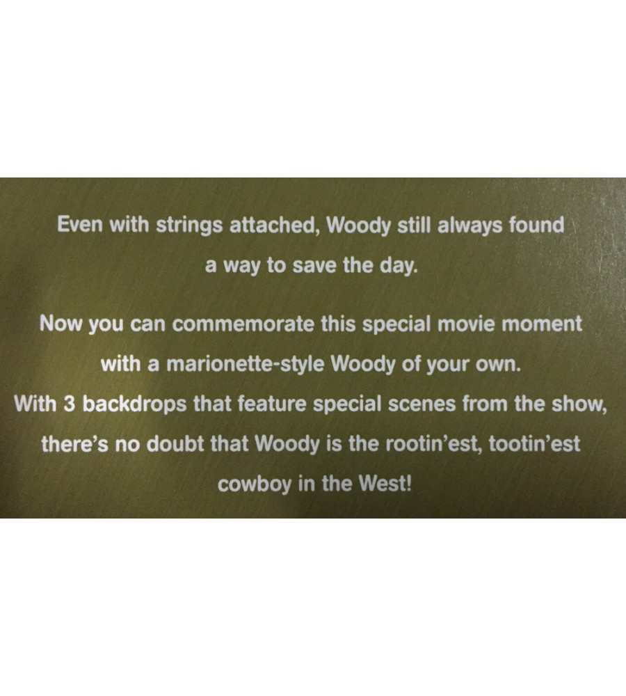 Toy Story 2 Woody's Roundup Television Puppet Visiontoys