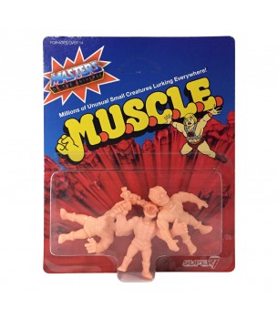 Masters of the Universe:...