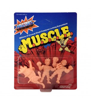 Masters of the Universe:...