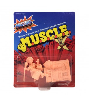 Masters of the Universe:...