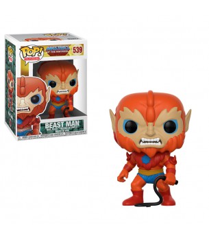 Masters of the Universe:...